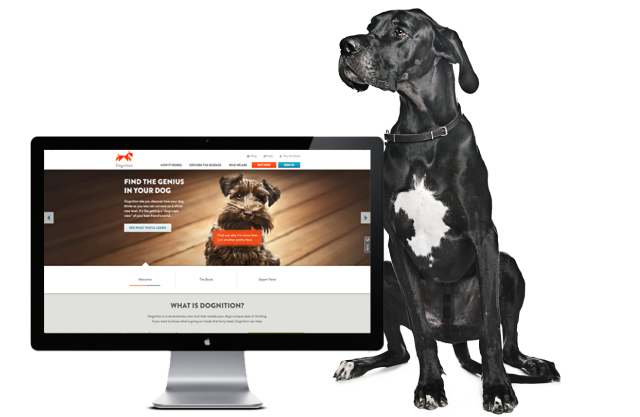 dognitionweb